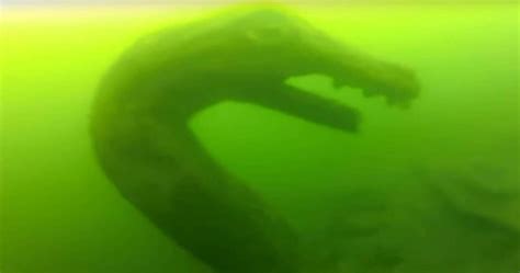 Watch: Ogopogo Sea Monster Wants You To Come Find It | TheTravel