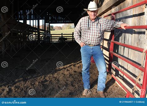 Large Animal Vet 2 stock image. Image of agribusiness - 21966407