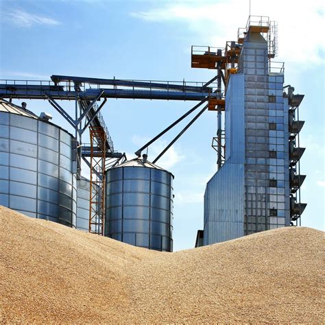 Corn in front of grain silo - Mole•Master Services Corporation