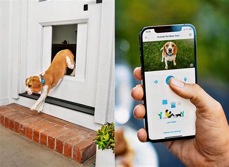 First Look at the MyQ Pet Portal App-Enabled Smart Dog Door from CES ...