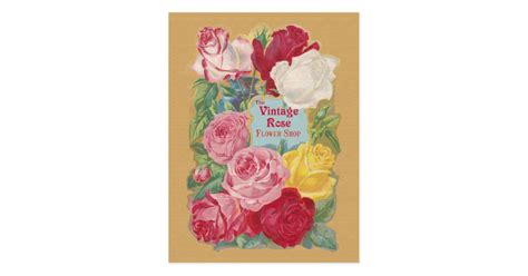 The Vintage Rose Flower Shop Sign Postcard | Zazzle.com