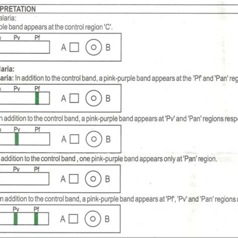 Prozone effect: antigen excess (in this case HRP-2) blocks all ...