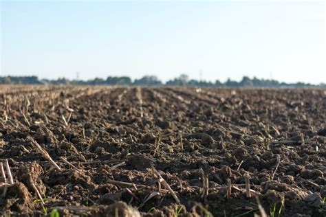 The Dangers of Monocropping - Local Agriculture - Ashfount Investments