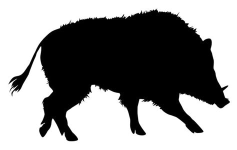 Boar Silhouette