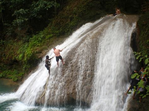 Five Can't Miss Waterfalls in Jamaica - Life In Pleasantville