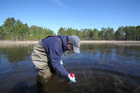 Conservation Update: Saving the Gopher Frog | North Carolina Zoo