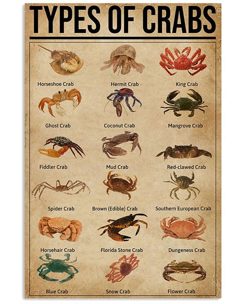 Types Of Crabs