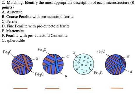 SOLVED: Matching: Identify the most appropriate description of each ...