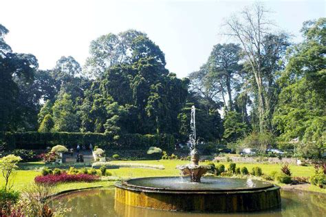 Bogor Botanical Garden | SKYNET TRAVEL CORPORATION