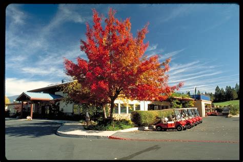 Corporate Retreats - Mount Shasta Resort