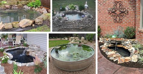 18 Best DIY Backyard Pond Ideas and Designs for 2024