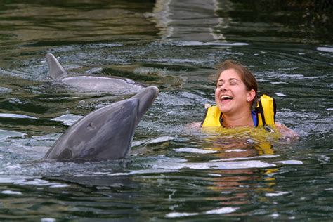 Swimming with Dolphins Ban: 5 Fast Facts You Need to Know | Heavy.com