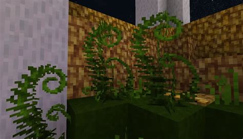 Double block Fern | Minecraft Middle Earth