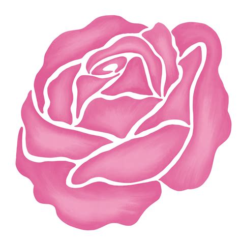 pink rose flower drawing illustration 13168264 PNG