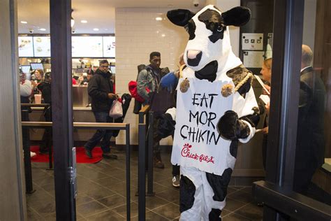 Chick Fil A Cow Mascot Costume