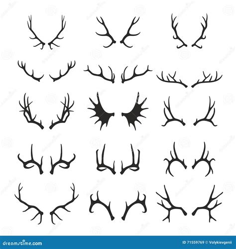 Deer antlers set stock vector. Illustration of reindeer - 71559769