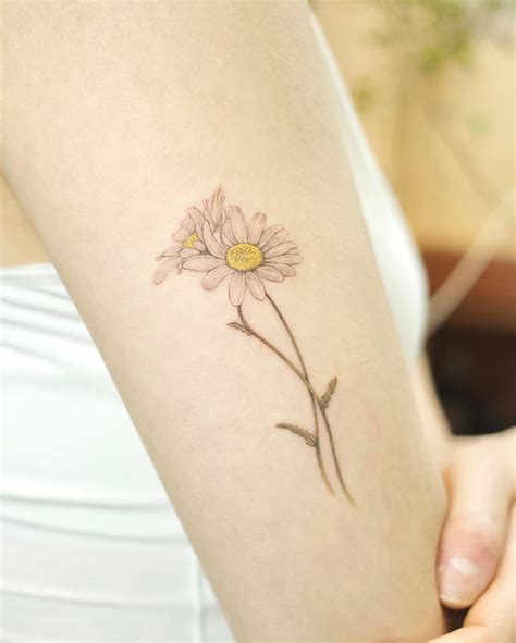 Daisy Flower Tattoo | Best Flower Site