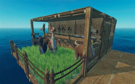 Raft Grass Plots Guide: Animals, Watering and More - Prima Games