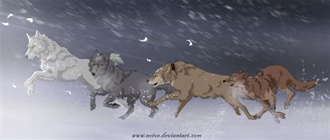 Wolfs Rain by Noive on DeviantArt