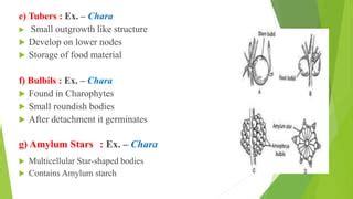 Reproduction in Algae By Dr. Neeraj Kumar Tiwari.pdf