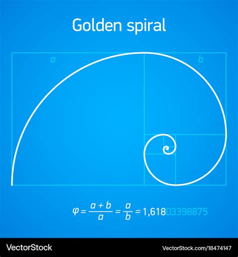 Golden ratio spiral with scheme Royalty Free Vector Image