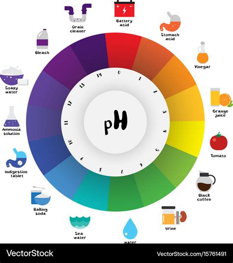 Ph scale universal indicator ph color chart Vector Image