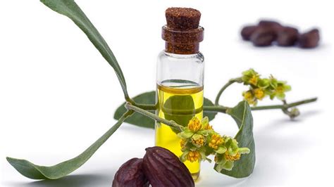 Jojoba Oil for Hair Growth | Benefits & How to Use Guide