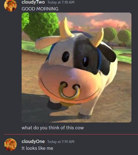 it looks like me | Moo Moo Meadows Cow | Know Your Meme