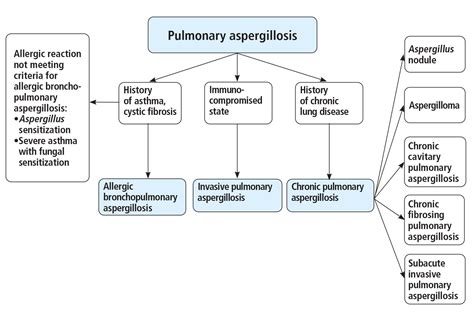 Is Aspergillus isolated from respiratory cultures clinically ...