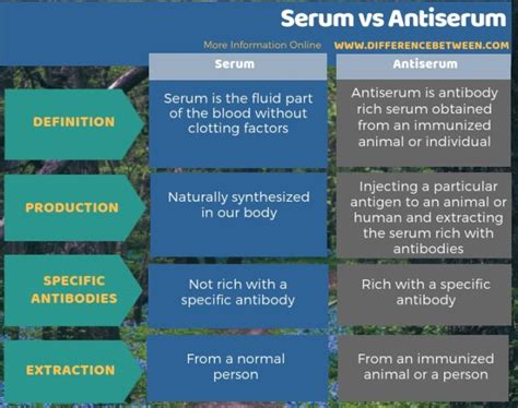 Difference Between Serum and Antiserum | Compare the Difference Between ...