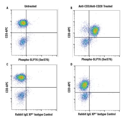 Antibody Validation for Flow Cytometry | CST