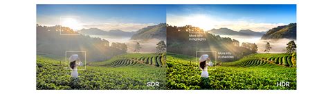 HDR Vs SDR: Everything You Need To Know Muvi One, 55% OFF