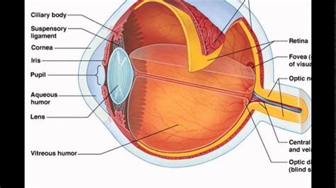 Retina Eye Chart