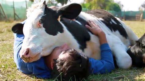 Animals Show Love for Humans - Animals Hugging People - Animals ...