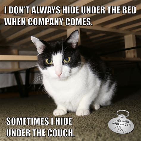 I Don't Always Hide Under The Bed When Company Comes # ...