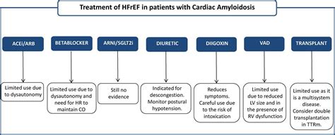 How to Treat Heart Failure in Patients with Cardiac Amyloidosis - ABC ...