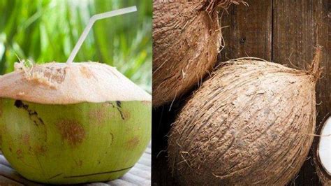 Kelapa Muda Atau Kelapa Tua? Keduanya Memiliki Manfaat Masing-masing ...