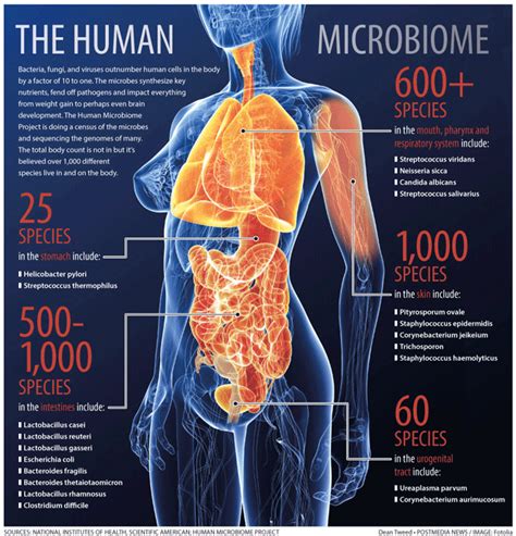 Home is Where Your Microbes Are | Nutrition Review