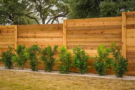 40 DIY Backyard Privacy Fence Design Ideas on A Budget