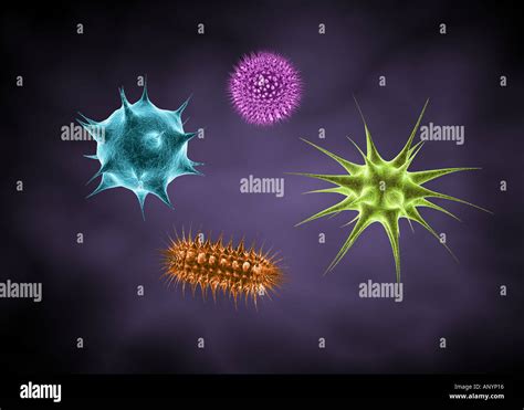 4 Different types of backteria microbes germs Stock Photo - Alamy