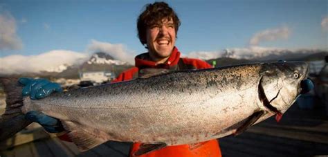 Anticipation over Opening of Copper River Salmon Season