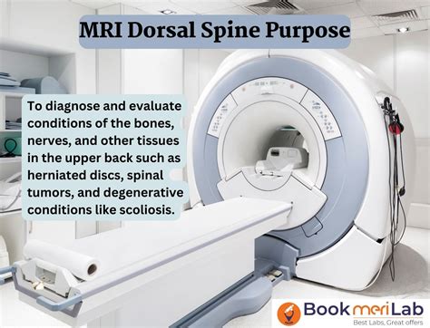 MRI Dorsal Spine: Price, Purpose, Procedure & Results [2024]