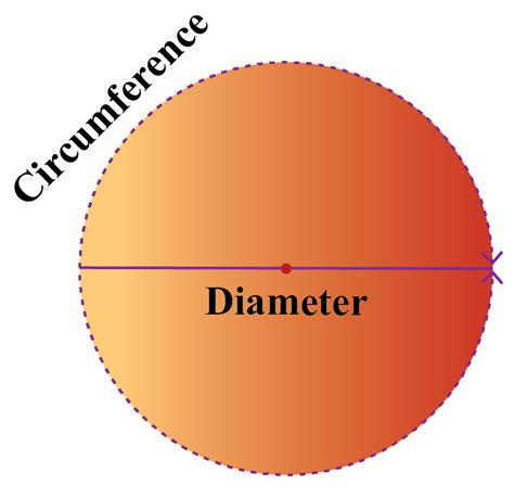 Diameter of a circle - answersmain