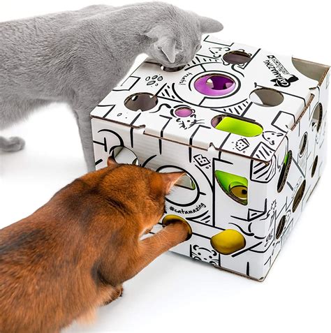 Top10 - Best Interactive Cat Toys in 2023 | PawGearLab