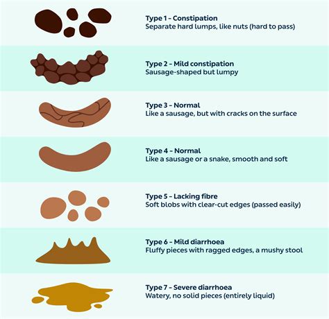 Different Ways To Poop