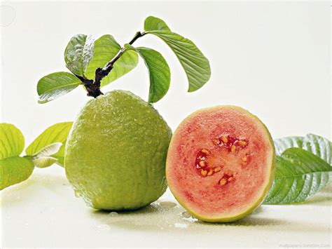 Guava - Inexpensive Healthiest Fruit from Nature - Healthyliving from ...