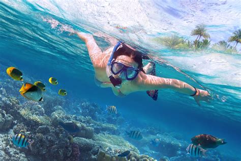 Beautiful women snorkeling in the tropical sea — Yacht Charter ...