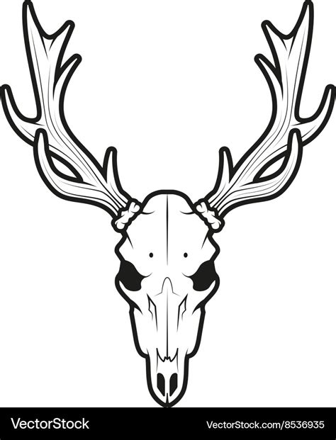 Deer Skull Royalty Free Vector Image - VectorStock