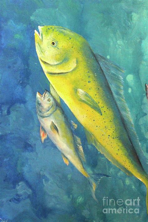 Mahi Mahi Fish Painting by Gabriela Valencia - Pixels