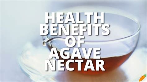 10 Potential Health Benefits Of Agave Nectar